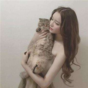 小飞机大战无敌版下载